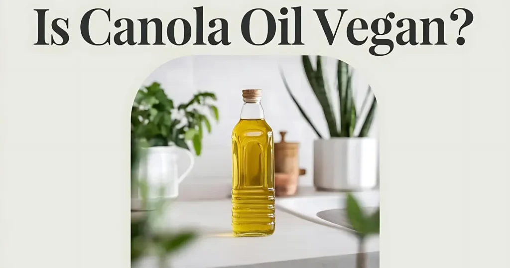 Is Canola Oil Vegan