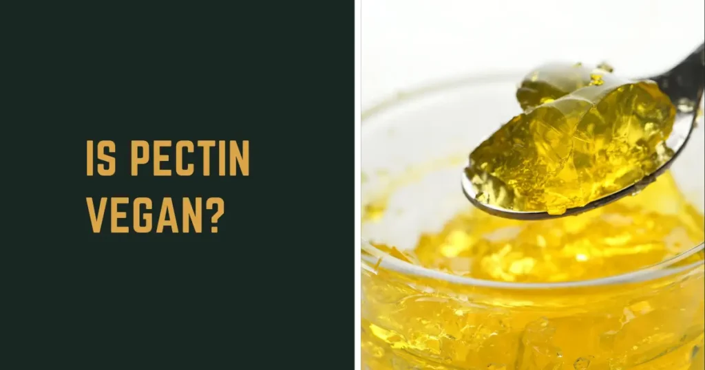 Is Pectin Vegan